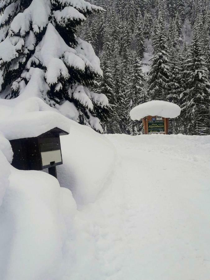 Hotel Haus Alpenheim Flachau Esterno foto